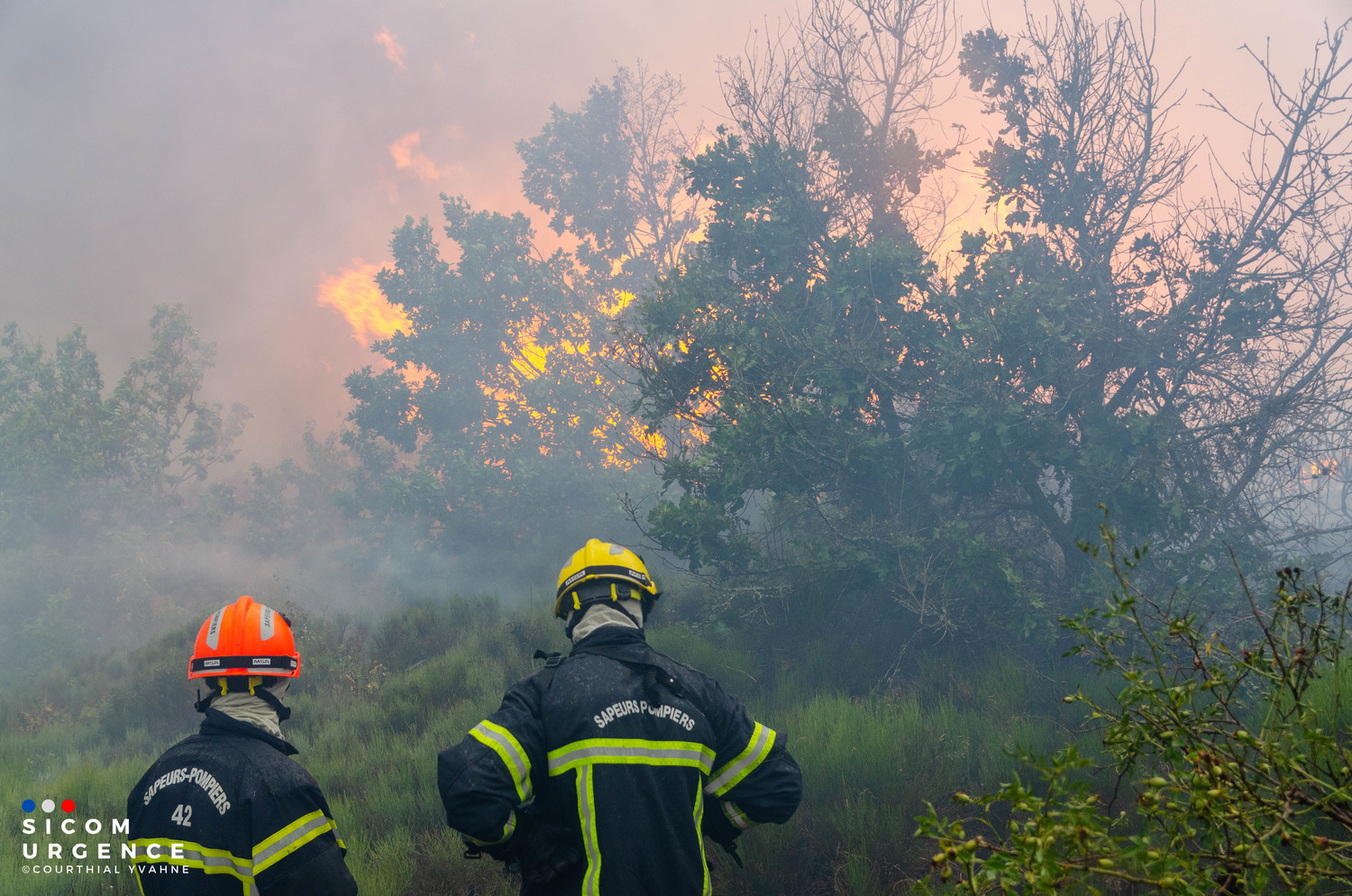 Ressources D'urgence Pour Feu De Forêt à Ardèche